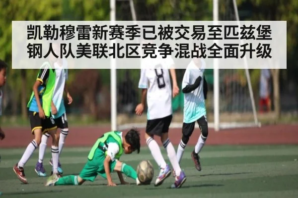 凯勒穆雷新赛季已被交易至匹兹堡钢人队美联北区竞争混战全面升级
