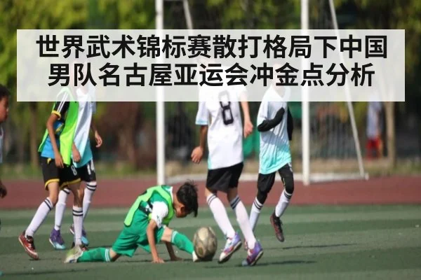 世界武术锦标赛散打格局下中国男队名古屋亚运会冲金点分析